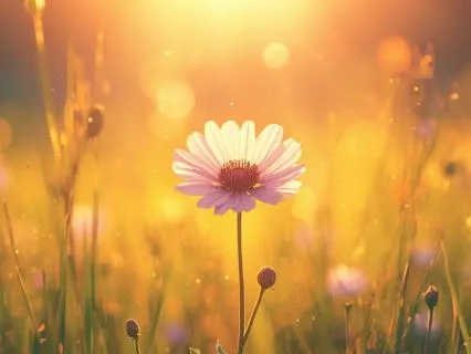 The Gentle Passage Through Menopause