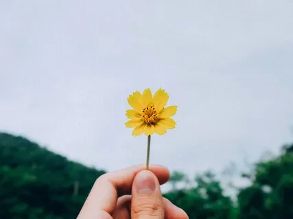 The Gentle Power Of Gratitude