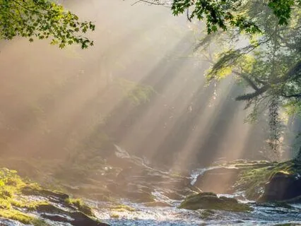 The Gentle Reset: A Grounding Practice For Anxiety