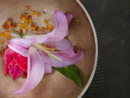 The Gentle Voice: Afternoon Improvisation