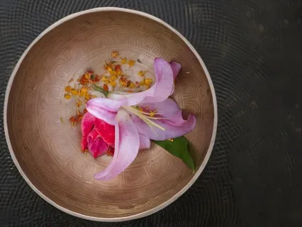 The Gentle Voice_Hymn To Kindness