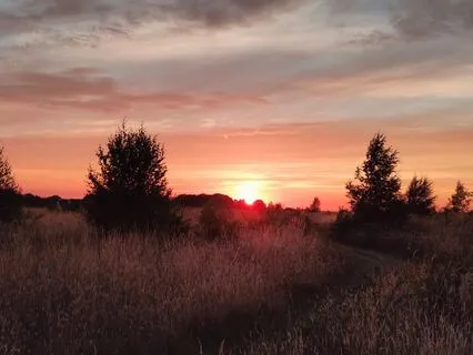 The Gentle Walk Into Dreamtime