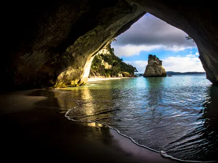 The Gift And The Choice