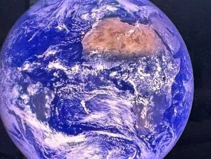 The Gift  In Understanding Humanity
