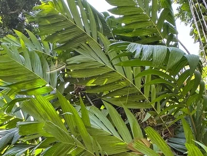 The Gift Of Inspiration