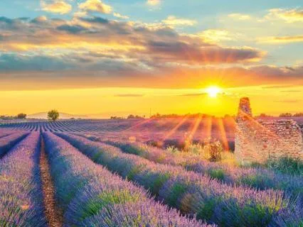 The Gift Of A Single Breath: A Short Guided Reflection