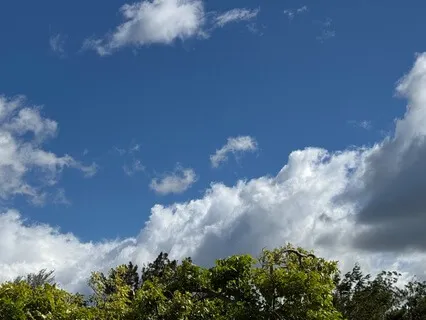 The Gift Of Awakening