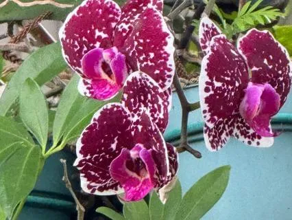 The Gift Of Being Able To Connect With Your Soul