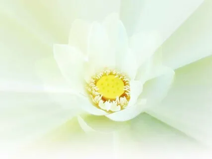 The Gift Of Being Heard