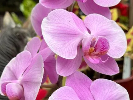 The Gift Of Being Open To Receiving