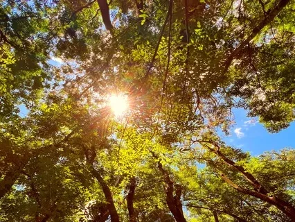 The Gift Of Connecting To Your Soul