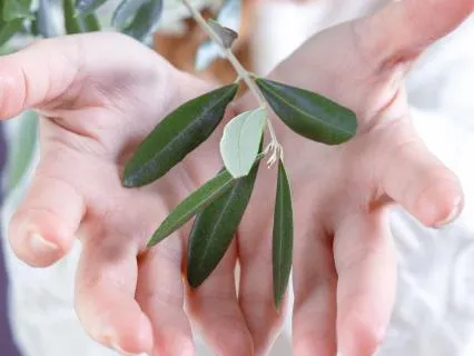 The Gift Of Forgiveness - Mindful Minutes