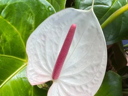 The Gift Of Inner Connection To God