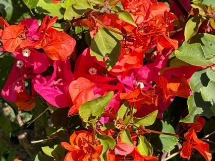 The Gift Of Inner Strength With Prayer And Meditation