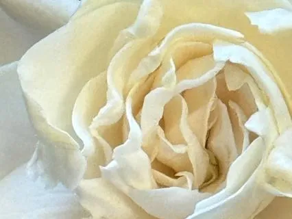 The Gift Of Journaling