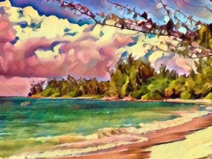 Transitions And Beginning Again