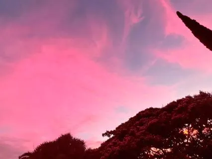 The Gift Of Light In Life