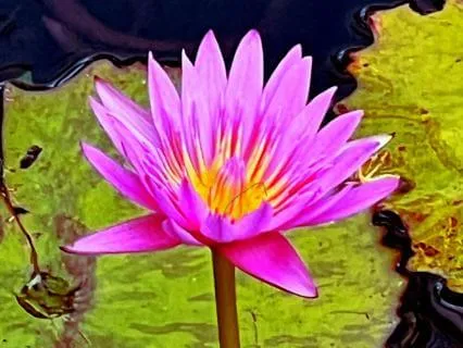 The Gift Of Loving The Source Of Love