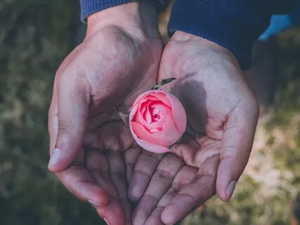 The Gift Of Meditation: From My Teachers To Me To You