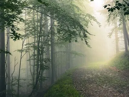 The Gift Of Not Knowing