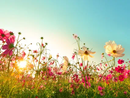 Serenity Wellness Podcast E23: The Gift Of Presence