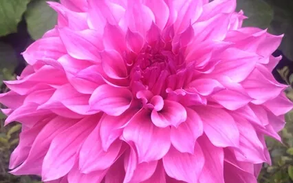 The Gift Of Presence: A Body Scan Meditation