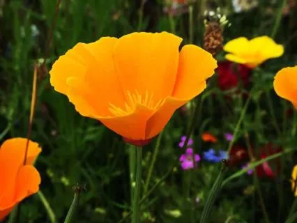 The Gift Of Reaching Out - June 08