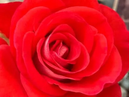 The Gift Of Recognizing Your Blessings