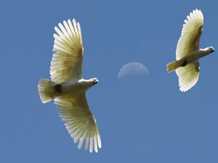 The Gift Of Saying "Yes"