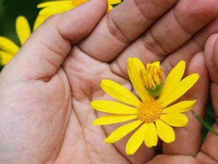 The Gift Of Self Compassion