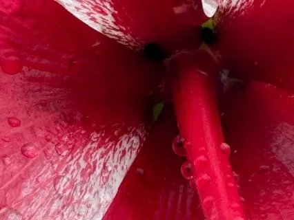 The Gift Of Sharing Our Insight And Inspiration