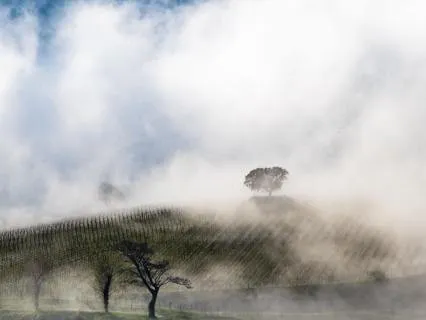 The Gift Of Small Moments