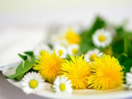 The Gift Of The Reiki Precepts From Your Future Self