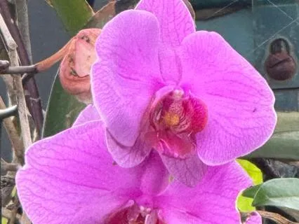 The Gift Of Understanding Unity