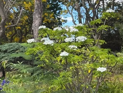 The Gift Of Wonder Within