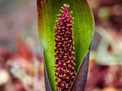 The Gift (Sounds Of The Soul)