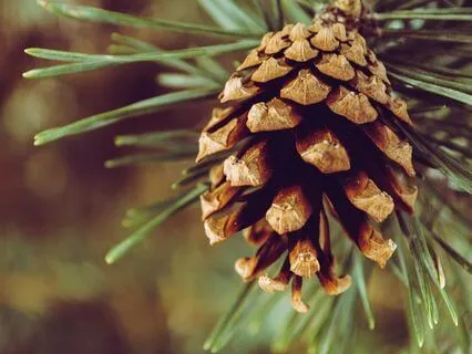 The Gifts Of Growing Older - Dec 14