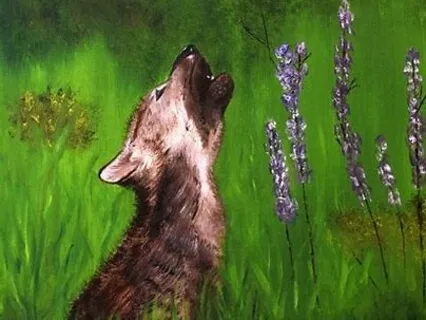 The Girl With 6 Fingers - Your Children's Meditation Story