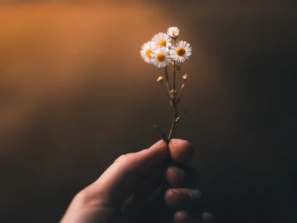 The Give Back Generation