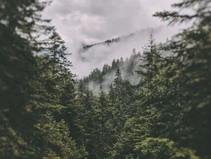 The Glade - A 20-Minute Power Nap Meditation