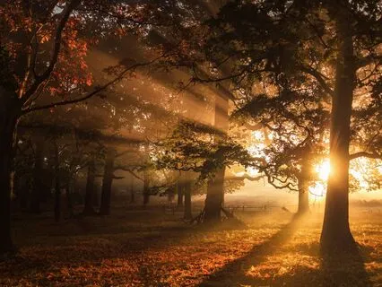 The Glow Of Dawn: Celestial Harp - Morning Music