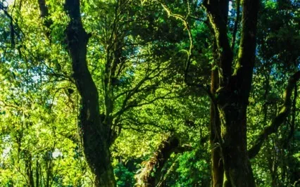 The Glow Of Your Smile