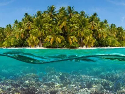 The Gnomes Of Reverie Island: Bedtime Tale