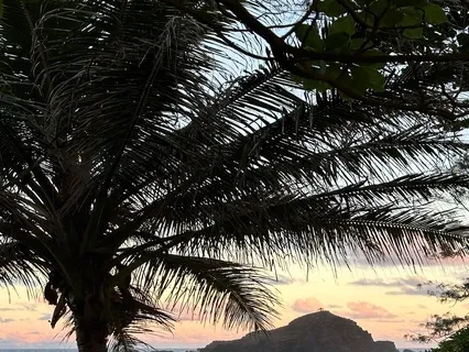 The Golden Cocoon - For Sleep