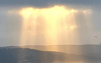 The Golden Cord Within - Tone Therapy