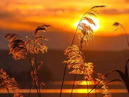 The Golden Hour To Sleep