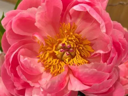 The Golden Jewel Of Discernment: Guidance From The Divine