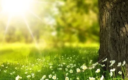 The Golden Light - A Visualisation