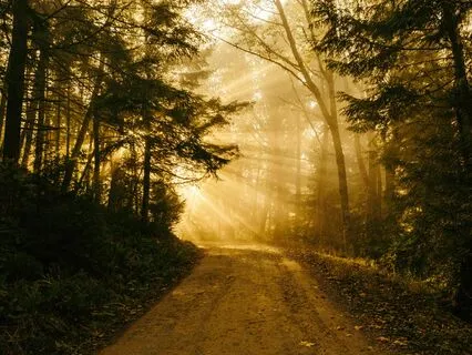 The Golden Pathway - Guided Energy Activation