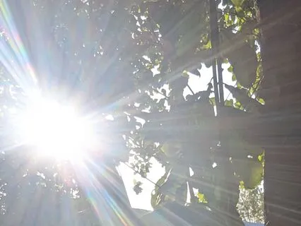 The Golden Reset - Energy Alchemy From Lack To Abundance